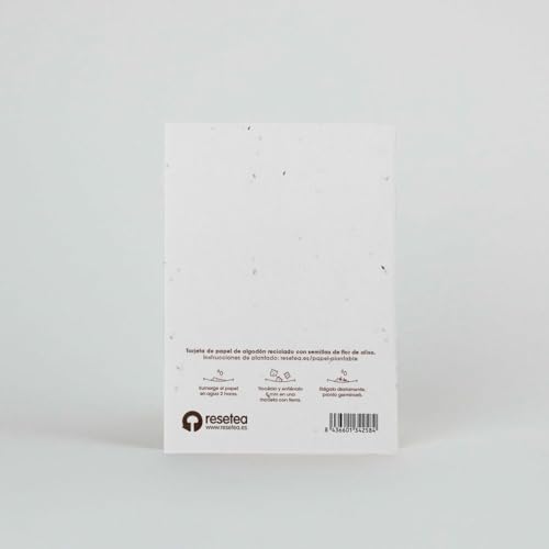 Postal Plantable con Semillas – Envía un Deseo que Florece