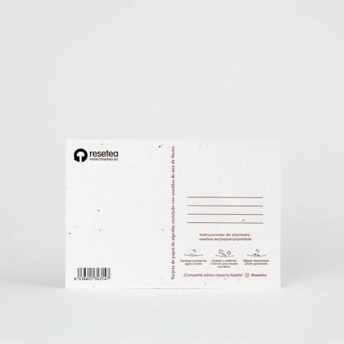 Postal Plantable Feliz Navidad – Felicitación Navideña Sostenible