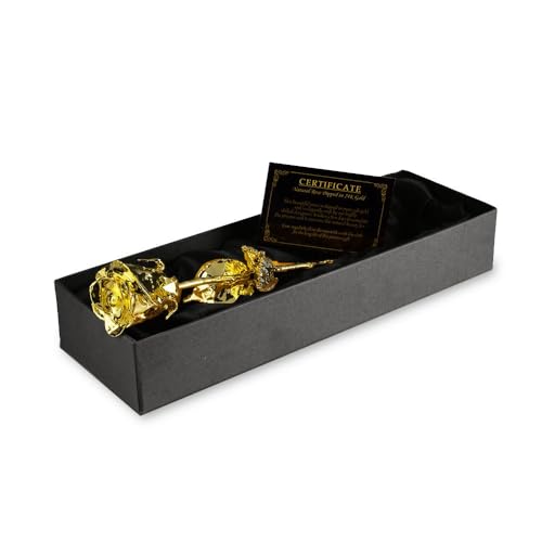 Rosa bañada en oro 24K – Belleza eterna en caja de regalo