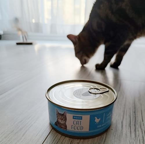 Calcetines gato de pelo corto – Estilo felino en cada pisada