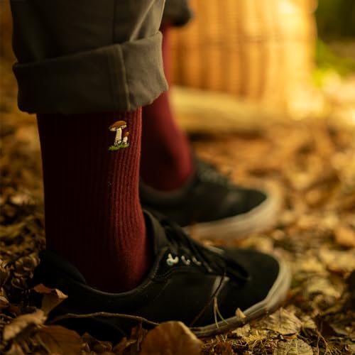 Calcetines setas – Cuatro sabores silvestres para tus pasos