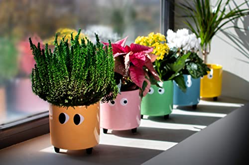Macetero amarillo ojitos – Un guiño divertido para tus plantas