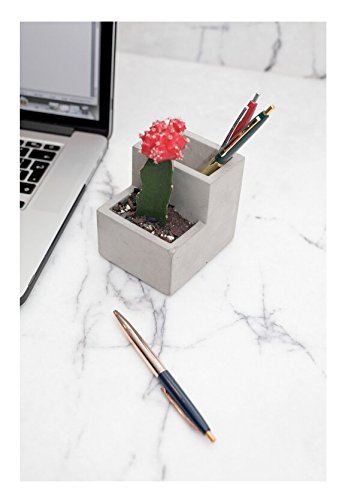 Maceta de oficina – Donde florecen tus ideas