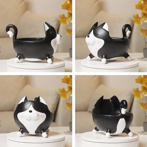 Plato en forma de gato – Dulces, llaves y detalles con bigotes