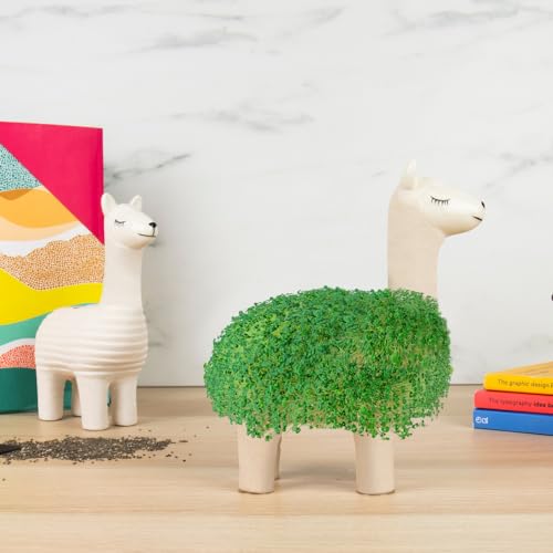 Llama Planter – Maceta con forma de llama