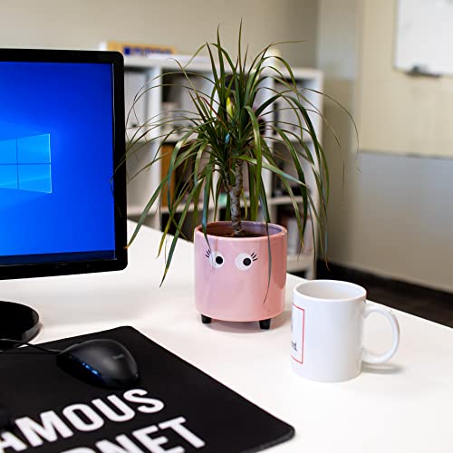 Macetero rosa ojitos con pestañas – Dulzura y encanto para tus plantas