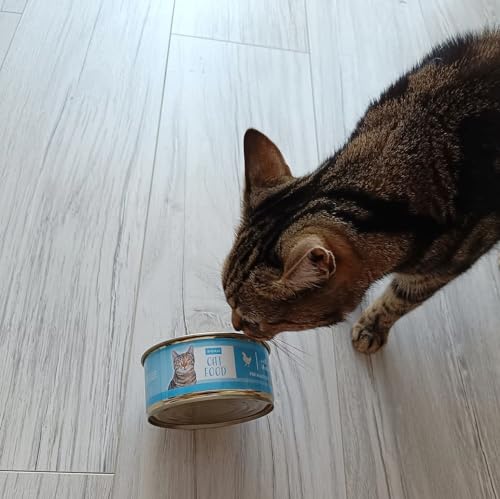 Calcetines gato de pelo corto – Estilo felino en cada pisada