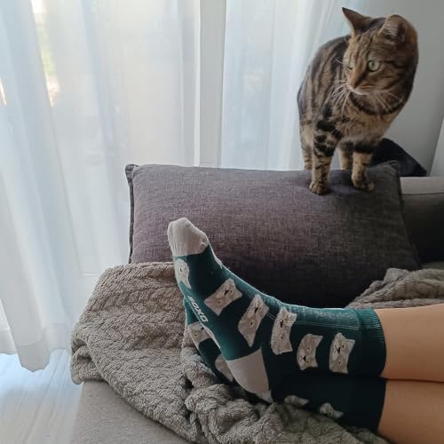 Calcetines gato de pelo corto – Estilo felino en cada pisada