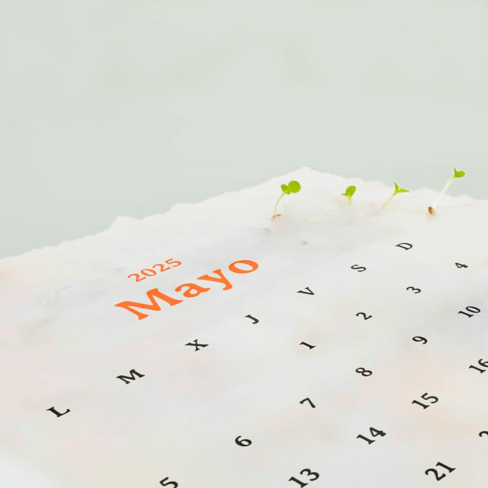 Calendario plantable 2025 – Agenda + jardín en papel