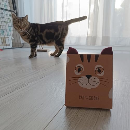 Calcetines gato – Ronronea estilo en cada paso
