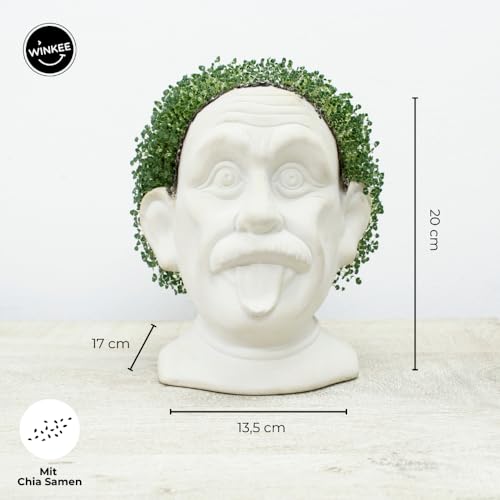 Maceta Einstein Chia – Ideas que brotan del genio