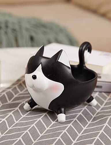 Plato en forma de gato – Dulces, llaves y detalles con bigotes
