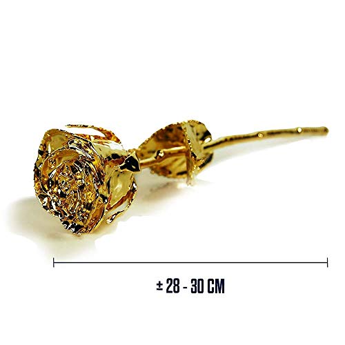 Rosa bañada en oro 24K – Belleza eterna en caja de regalo
