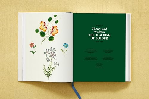 El libro del color – Conceptos y armonía visual