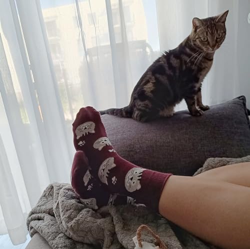 Calcetines gato – Ronronea estilo en cada paso