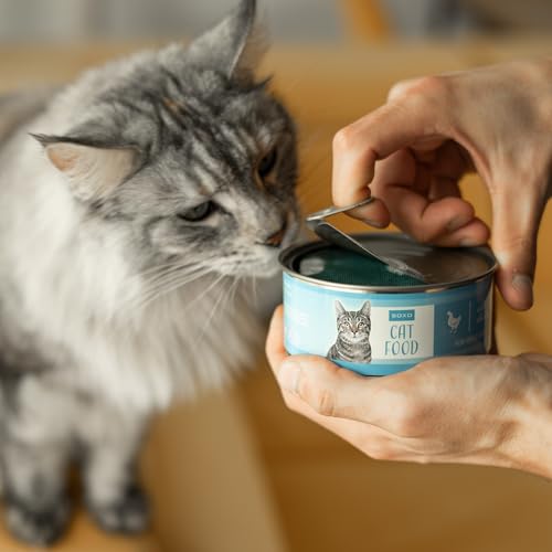 Calcetines en lata de gato – Zarpazos de ternura en cada paso