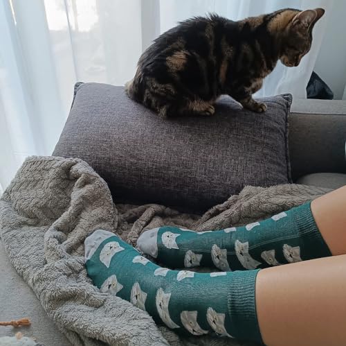 Calcetines gato de pelo corto – Estilo felino en cada pisada
