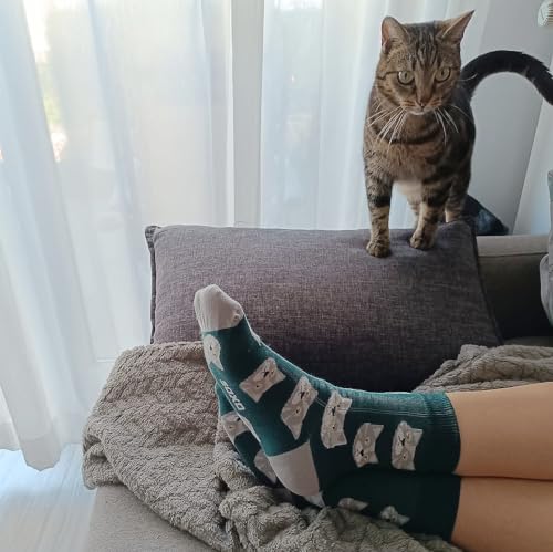 Calcetines gato de pelo corto – Estilo felino en cada pisada