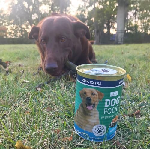 Calcetines labrador – Pasos fieles y divertidos