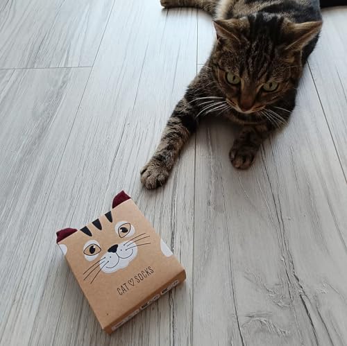 Calcetines gato – Ronronea estilo en cada paso