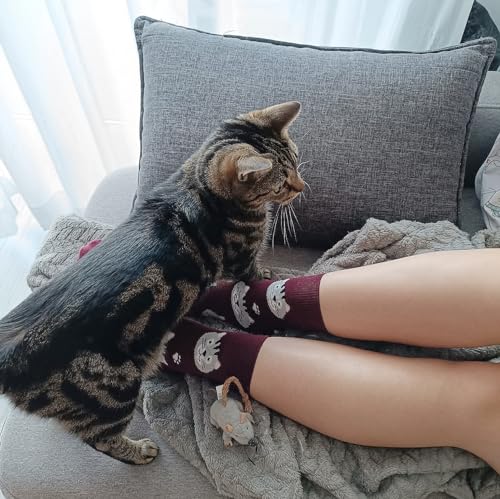 Calcetines gato – Ronronea estilo en cada paso