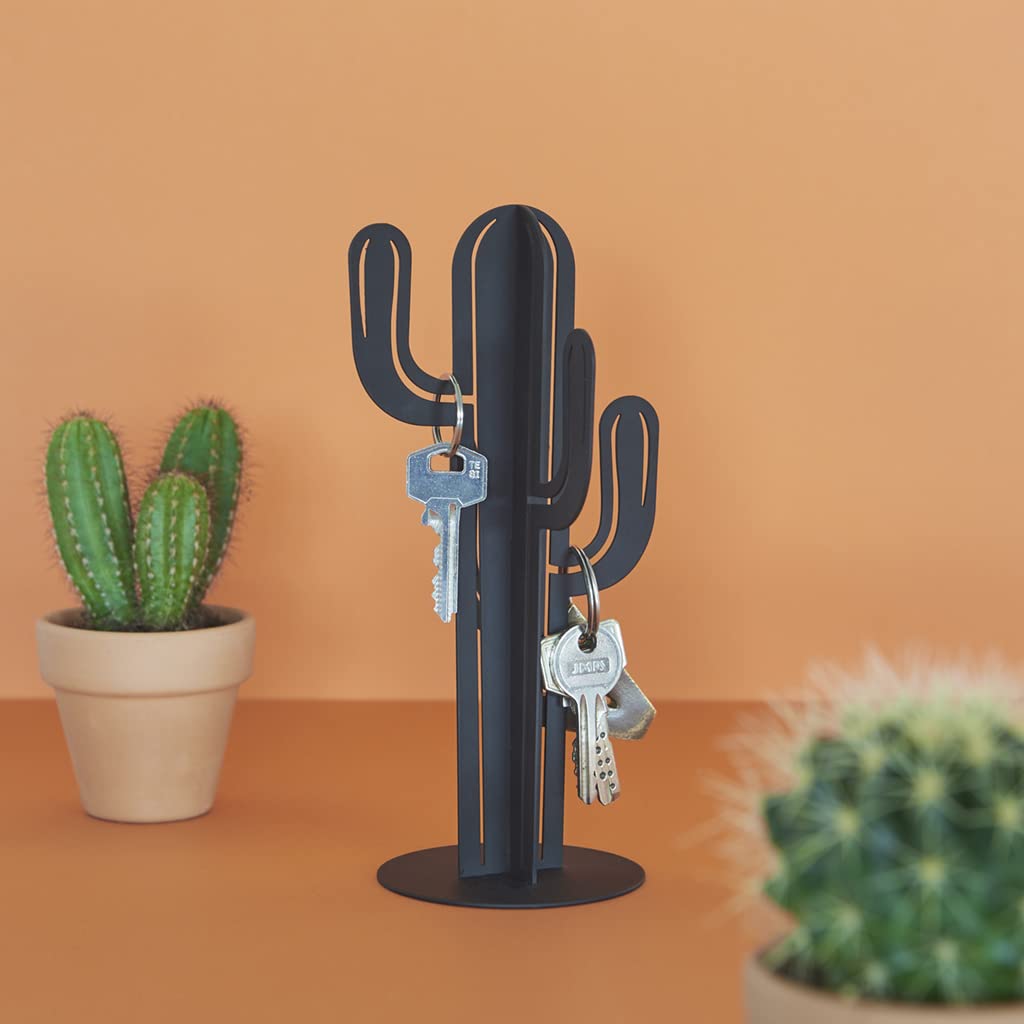 Soporte llaves cactus – Porque perder las llaves pica