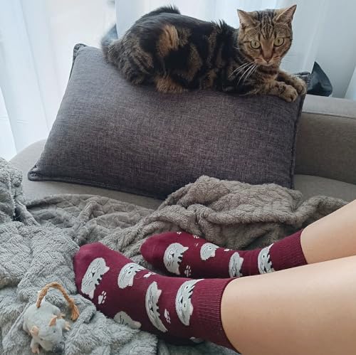 Calcetines gato – Ronronea estilo en cada paso