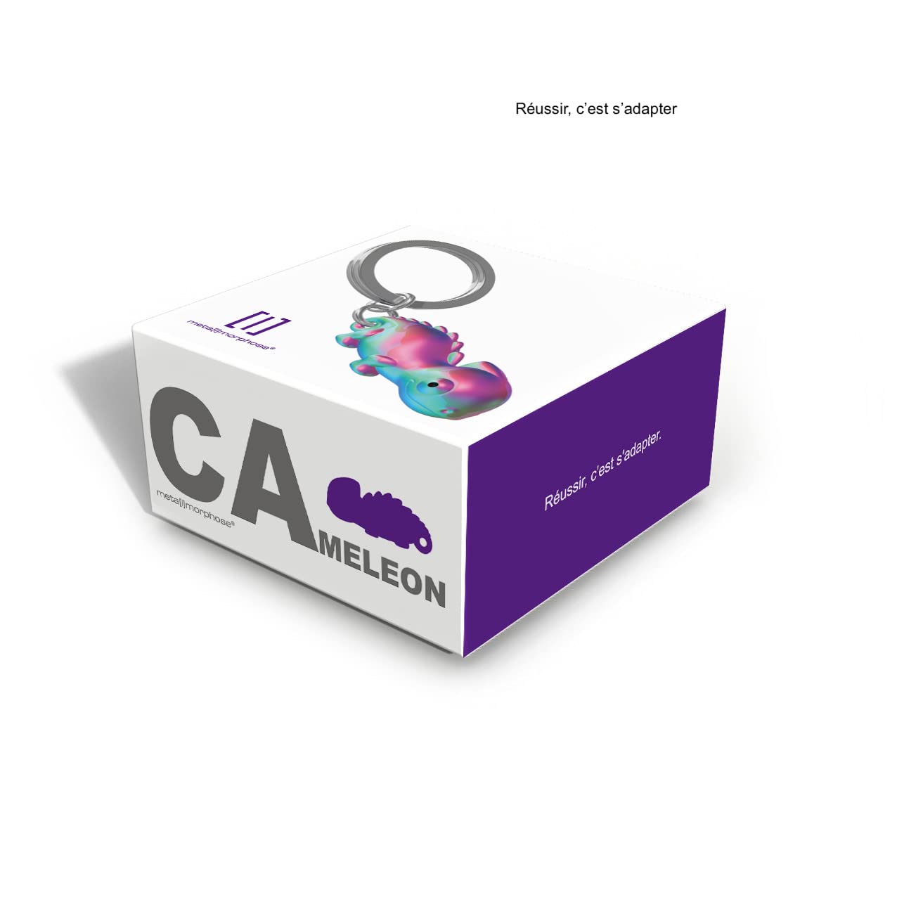 Llavero camaleón – Cambia de estilo con tus llaves