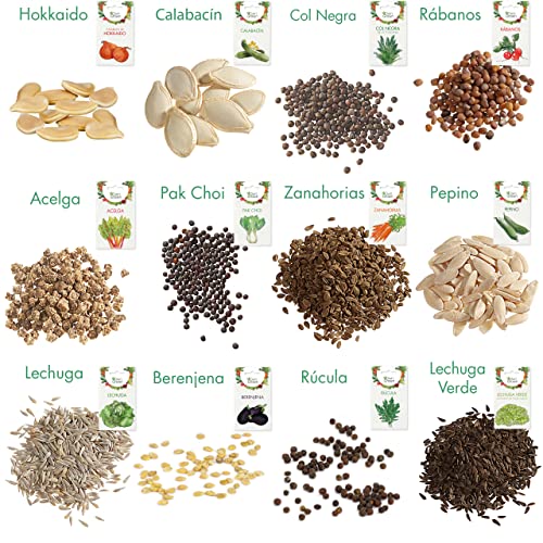 Kit verduras – Cultiva tu cosecha desde cero