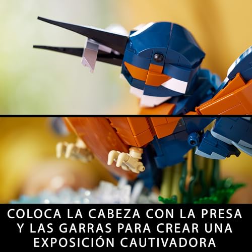 LEGO Martín Pescador – Arte plumado para tu escritorio