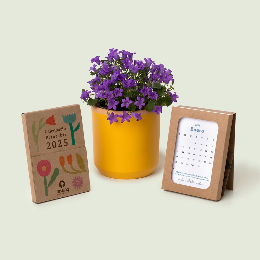 Calendario plantable 2025 – Agenda + jardín en papel