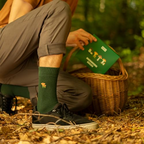 Calcetines setas – Cuatro sabores silvestres para tus pasos