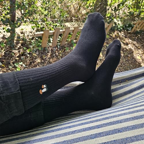 Calcetines setas – Cuatro sabores silvestres para tus pasos