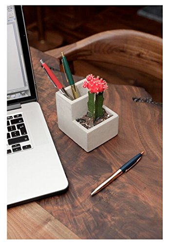 Maceta de oficina – Donde florecen tus ideas