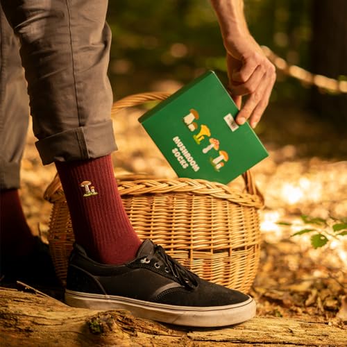 Calcetines setas – Cuatro sabores silvestres para tus pasos