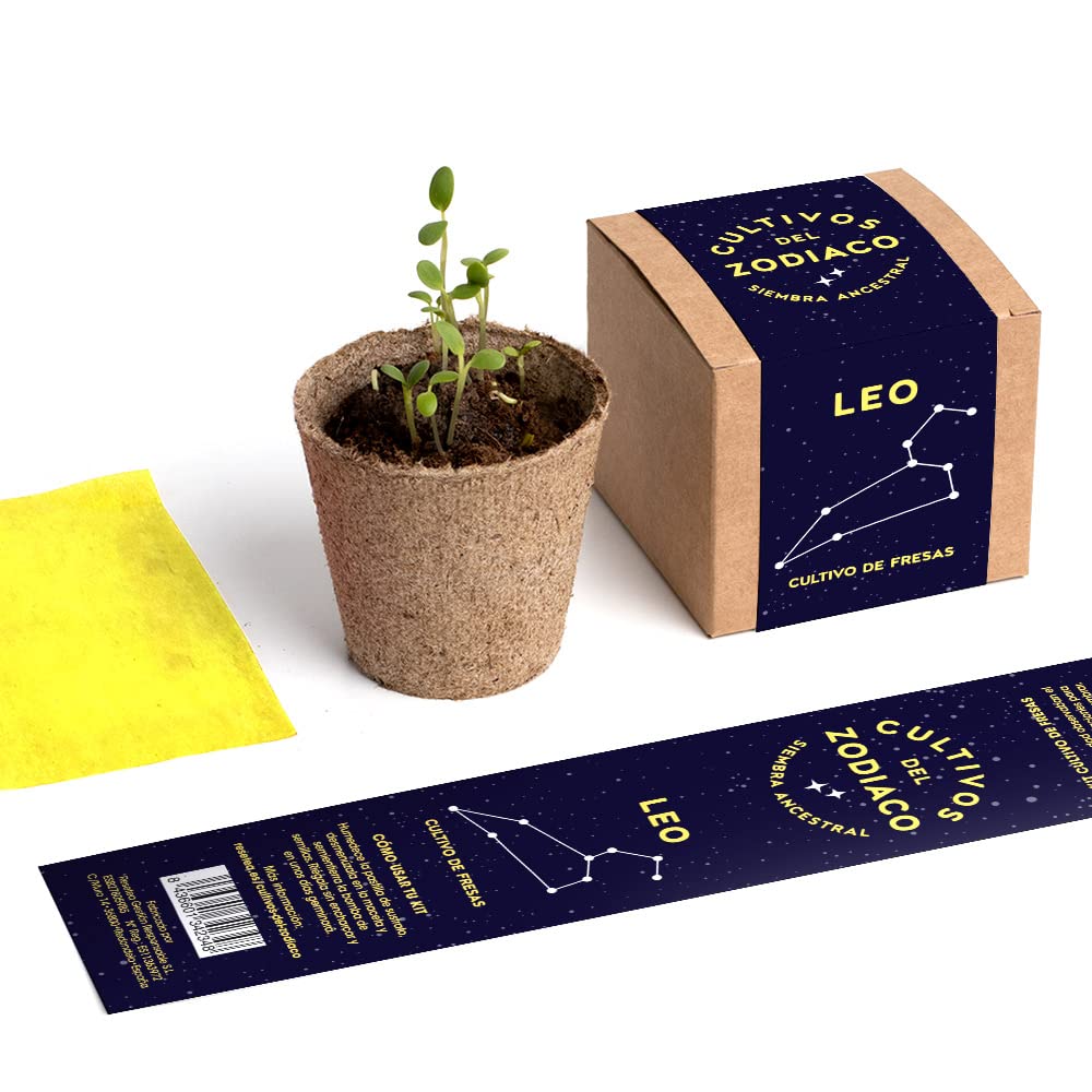 Kit de cultivo Leo – Fresas caseras bajo la constelación del verano