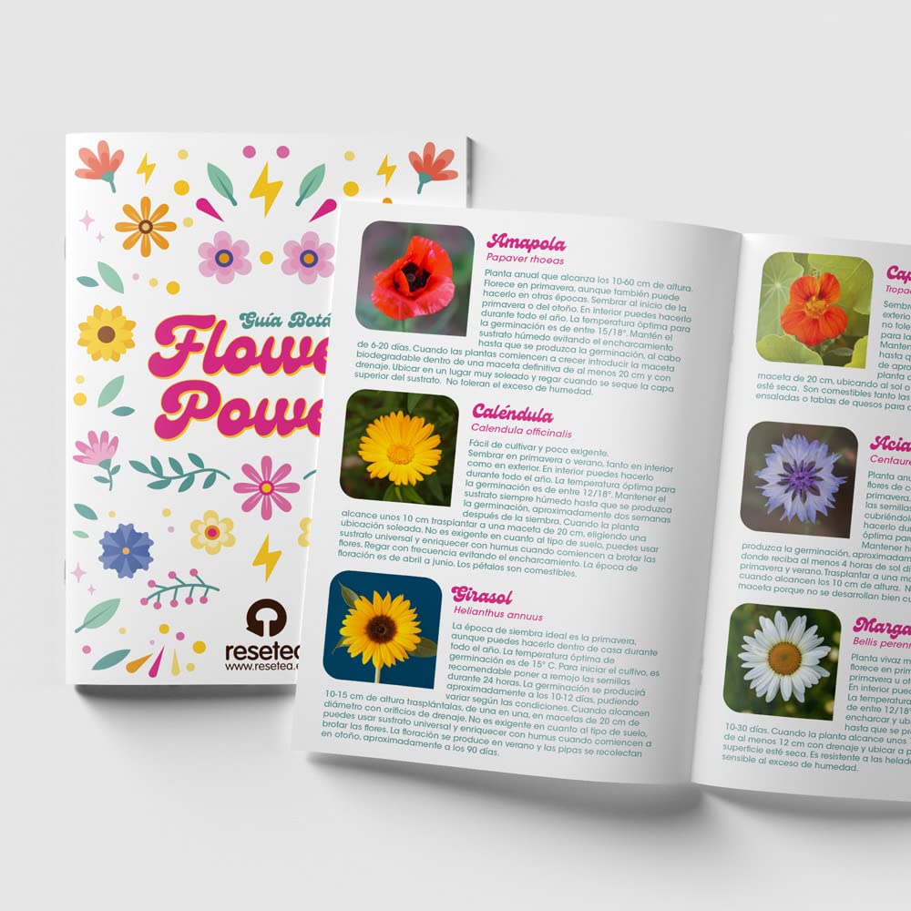 Kit autocultivo Flower Power – Flores para llenar tu casa de vida y color