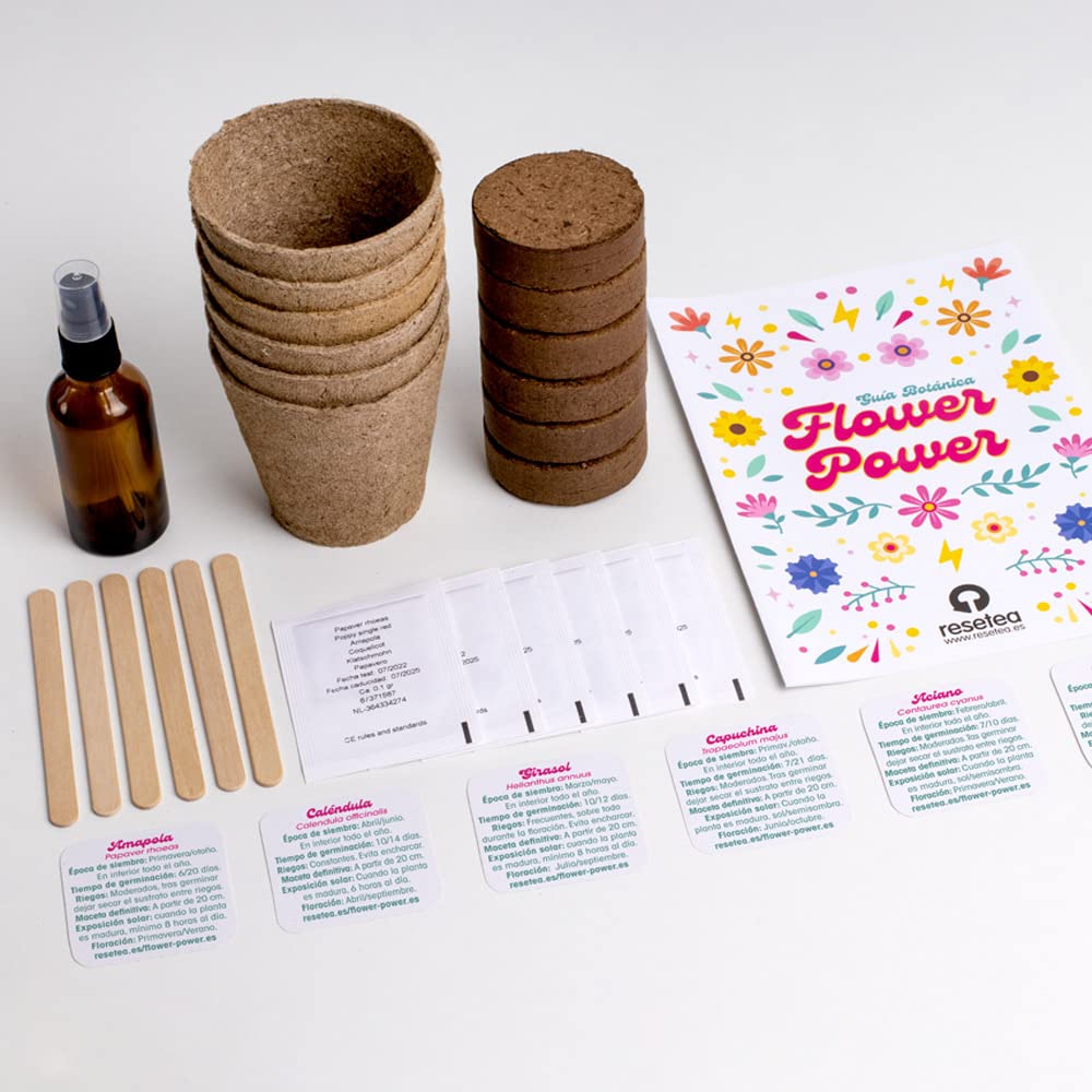 Kit autocultivo Flower Power – Flores para llenar tu casa de vida y color