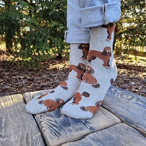 Calcetines caniche – Dulzura y elegancia a cuatro patas