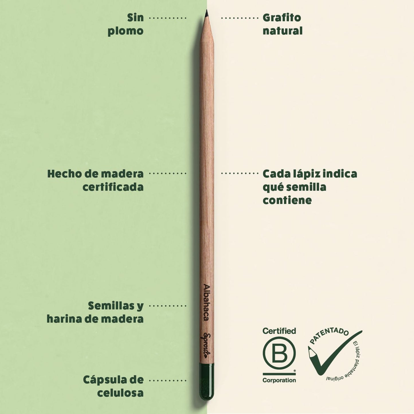 Lápices que crecen – Sprout con semilla en la punta