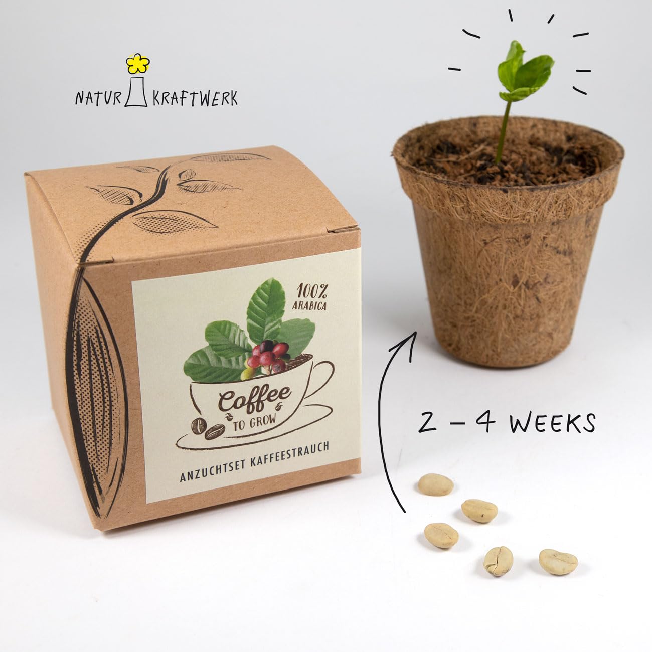 Coffee to Grow – Planta un cafeto con este kit regalo