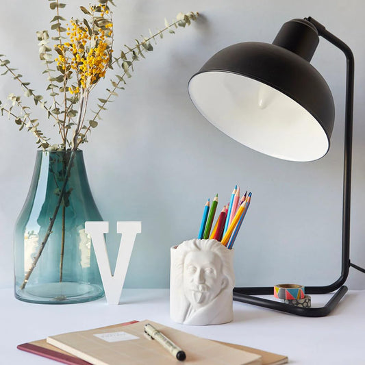 Einstein de escritorio – Orden y genio en tu mesa