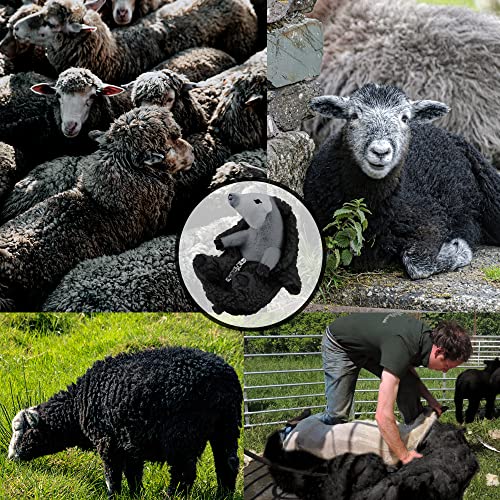 Peluche oveja negra desmontable – Una esquila con mucho carácter
