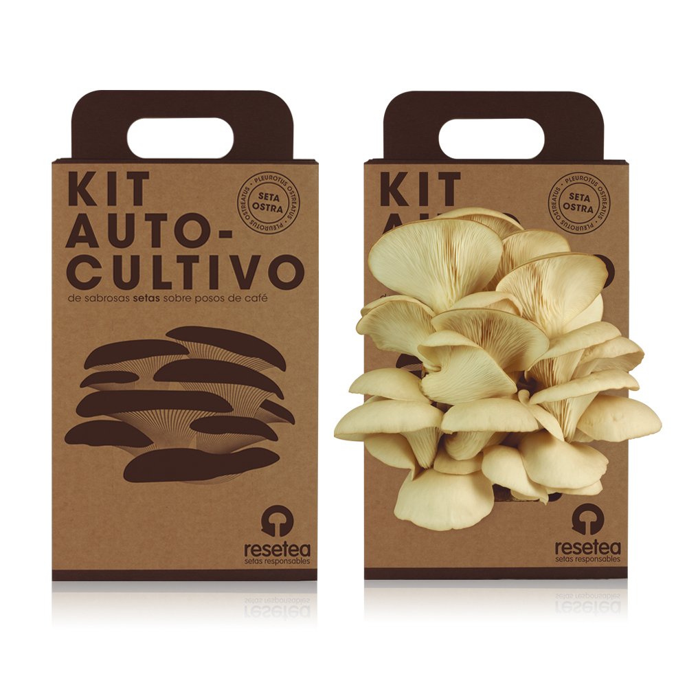 Kit autocultivo setas – Cultiva ostras sobre posos de café