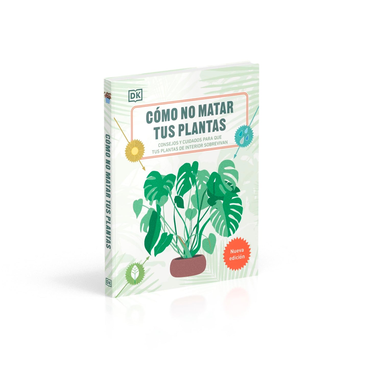 Como no matar tus plantas – Consejos para que tus plantas de interior sobrevivam