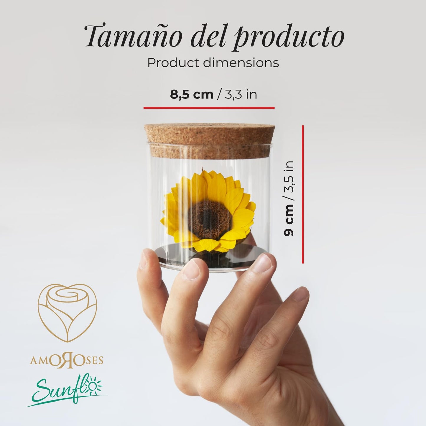 Girasol eterno – Flor natural estabilizada que no se marchita