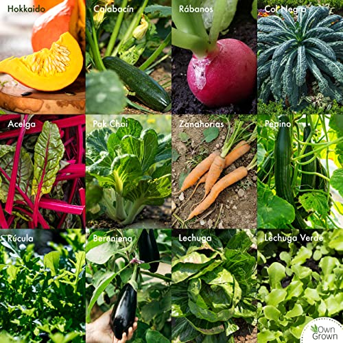 Kit verduras – Cultiva tu cosecha desde cero