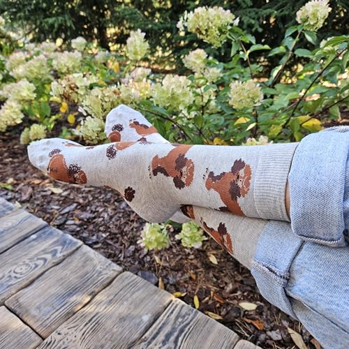 Calcetines caniche – Dulzura y elegancia a cuatro patas