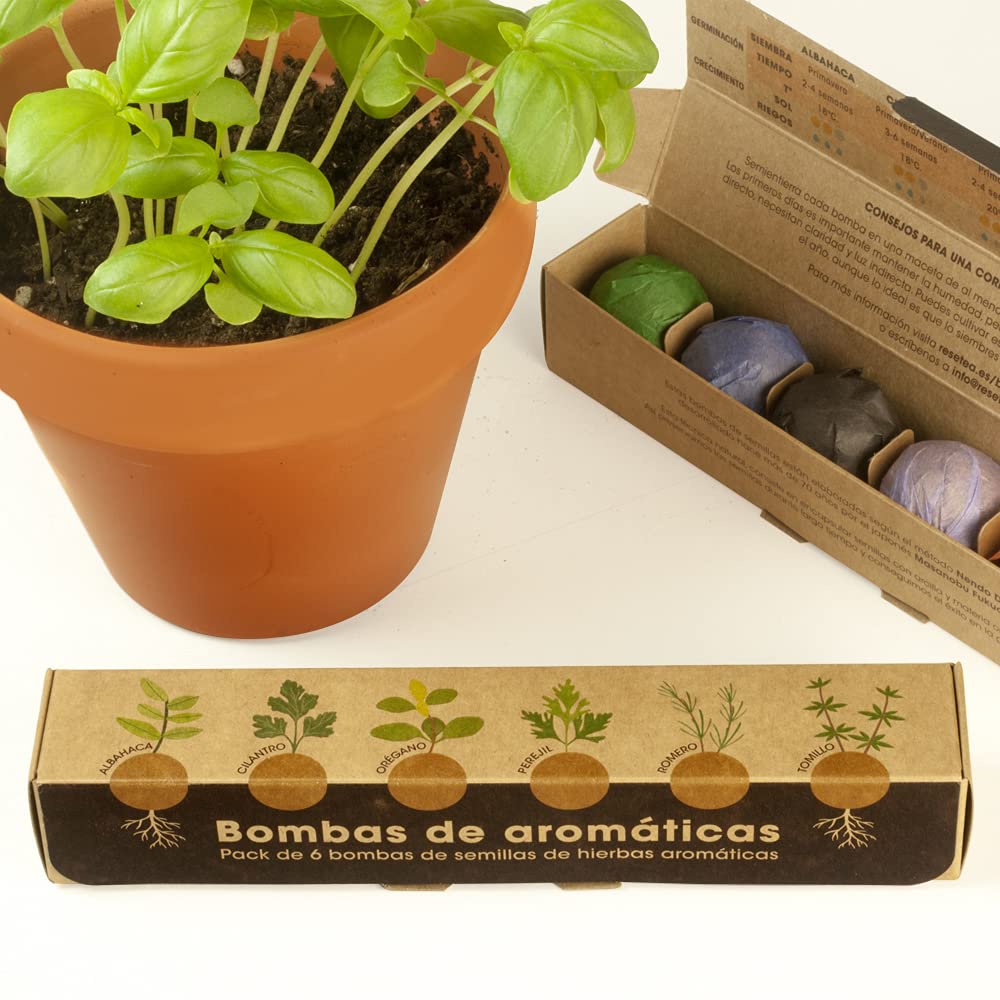 Bombas de hierbas aromáticas Resetea – Planta sabor en solo 20 días