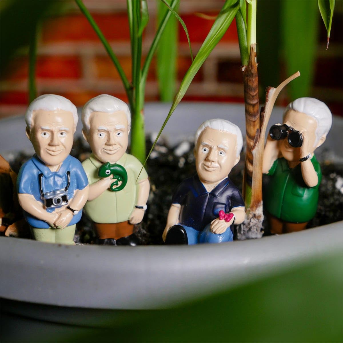 Mini exploradores Attenborough – Marcadores decorativos para macetas